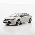 Transfer - PORTO DE GALINHAS