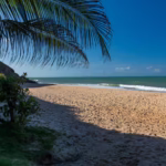 CARNEIROS - saída de Recife